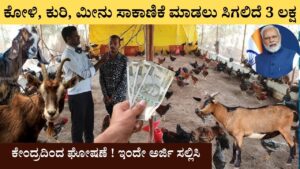 Center Allocates 3 Lakh for Dairying and Agriculture Boost