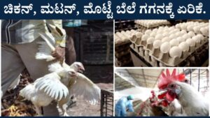 Chicken, mutton, egg prices hike in india